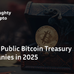 Bitcoin Treasury Companies cover