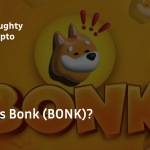 bonk crypto cover