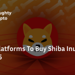Shiba Inu cover