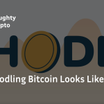 hodling bitcoin cover