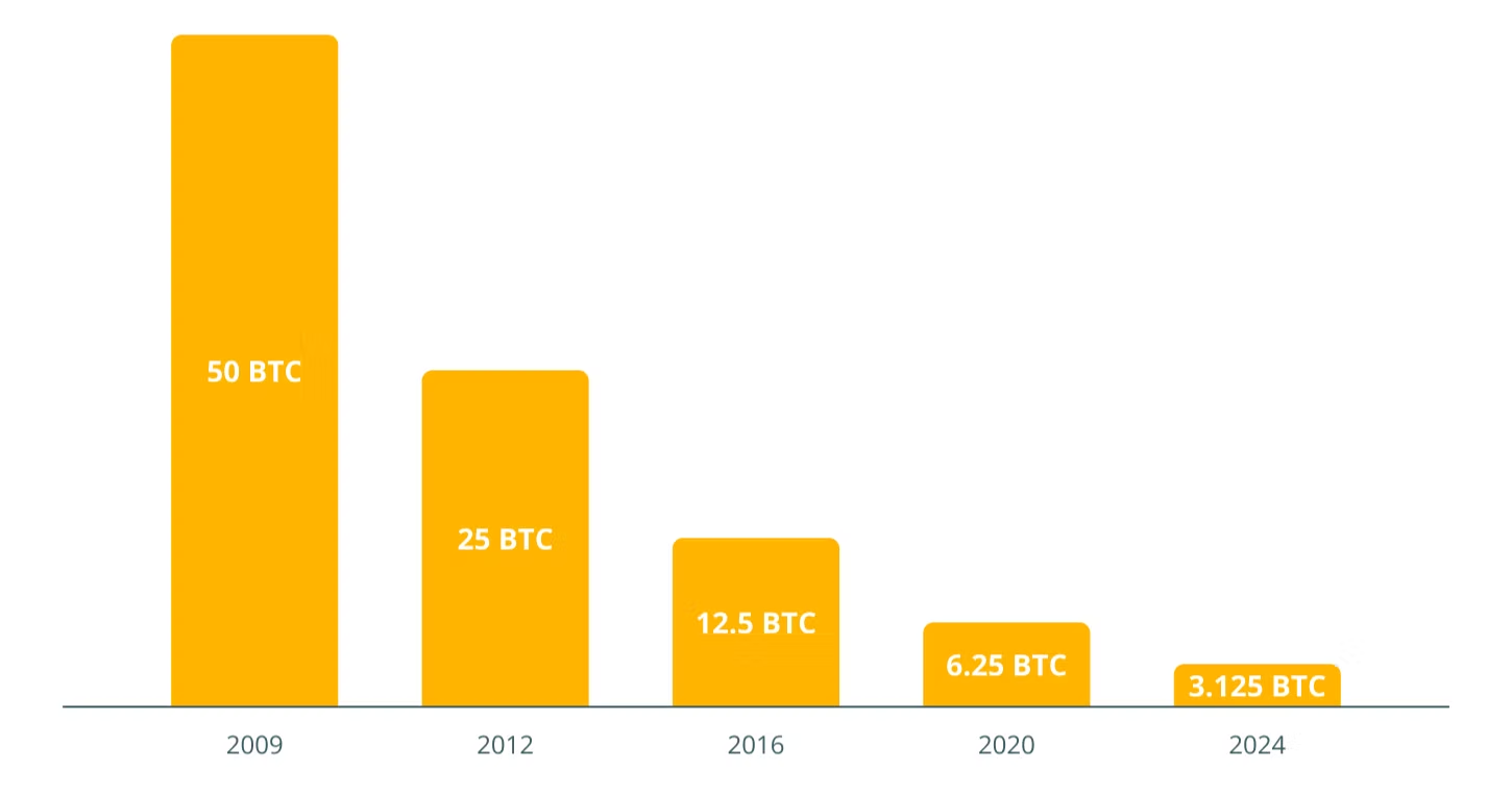 bitcoin halving
